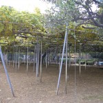 ステンレス製作金物1